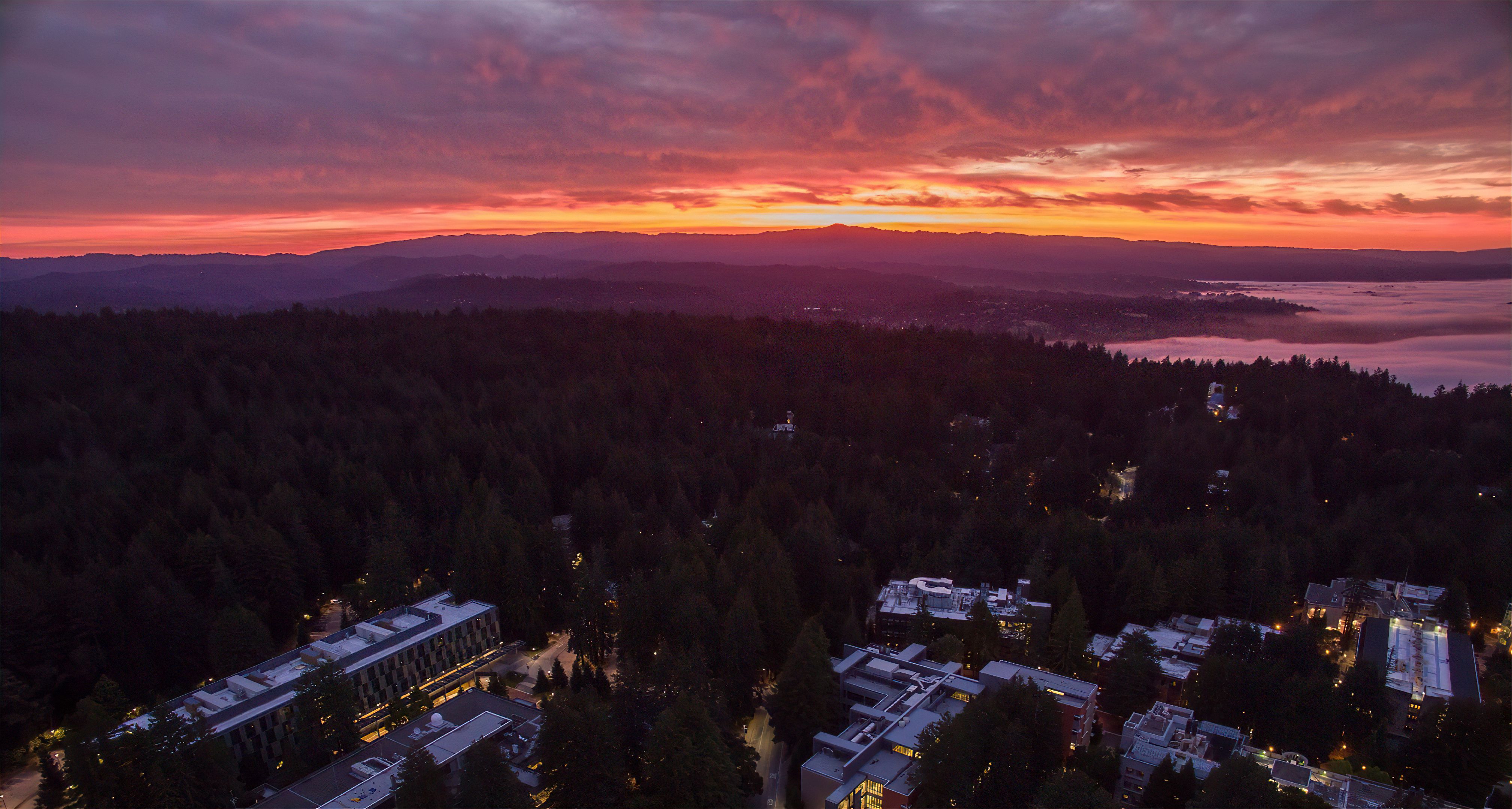 UCSC Aerial View